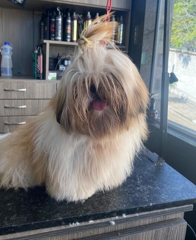 5bca1b5c-a035-4865-b010-526e9833252f